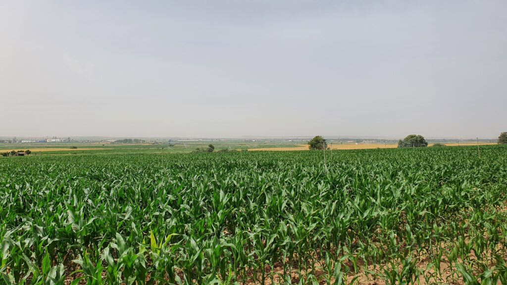 DAT-Technologies – DAT-Technologies